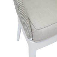 Picture of MIAMI DINING CHAIR