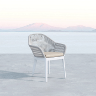 Picture of MIAMI DINING CHAIR