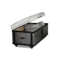 Picture of DALAL UPHOLSTERED TRUNK
