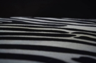 Picture of HAIR ON LEATHER