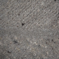 Picture of LOFTON(A07212)