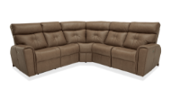 Picture of ACACIA