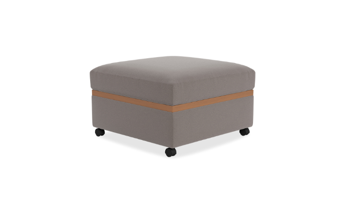 Picture of LOTUS