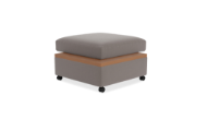 Picture of LOTUS