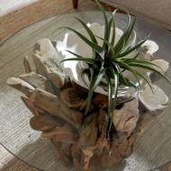 Picture of DRIFTWOOD COFFEE TABLE, SMALL, 2 CARTONS