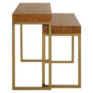 Picture of BURL-ESQUE NESTING TABLES, S/2