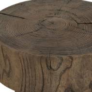 Picture of TREE TRAILS ACCENT TABLE