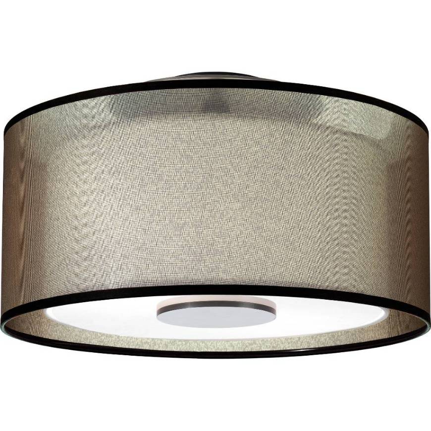 Picture of SATURNIA FLUSHMOUNT
