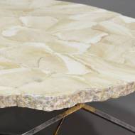 Picture of LOREN FOSSILIZED CLAM COFFEE TABLE