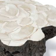 Picture of CHLOE FOSSIL CLAM LAVA COFFEE TABLE