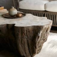 Picture of CHLOE FOSSIL CLAM LAVA COFFEE TABLE
