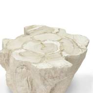 Picture of CAMILLA FOSSILIZED CLAM SIDE TABLE