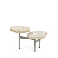 Picture of MERCED FOSSILIZED CLAM 2 TOP TABLE