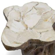 Picture of CHLOE FOSSILIZED CLAM STUMP TABLE