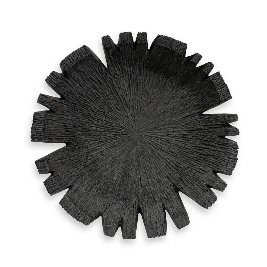Picture of REEF OUTDOOR WALL DECOR LARGE, CHARCOAL