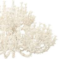 Picture of SEYCHELLES COCO CHANDELIER
