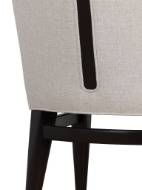 Picture of DOUGLAS SIDE CHAIR