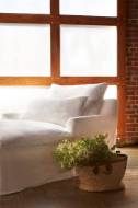 Picture of DONATO DOUBLE CHAISE