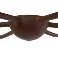 Picture of SPIDER CHANDELIER