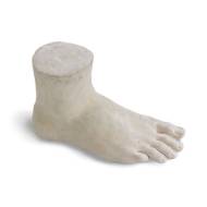 Picture of BIG FOOT