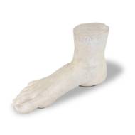 Picture of BIG FOOT