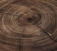 Picture of RIL DINING TABLE
