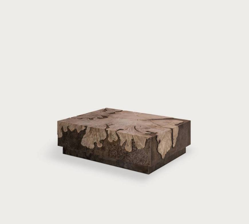 Picture of MILPA VUELTO COFFEE TABLE