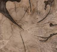 Picture of MILPA VUELTO COFFEE TABLE