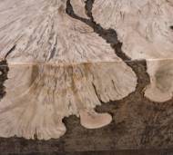 Picture of MILPA VUELTO COFFEE TABLE