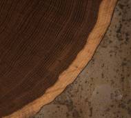 Picture of KOBE TALL SIDE TABLE