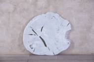Picture of LUNA YUKAS COFFEE TABLE