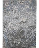 Picture of 3405F SILVER/BLUE