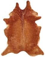 Picture of COWHD MEDIUM BROWN
