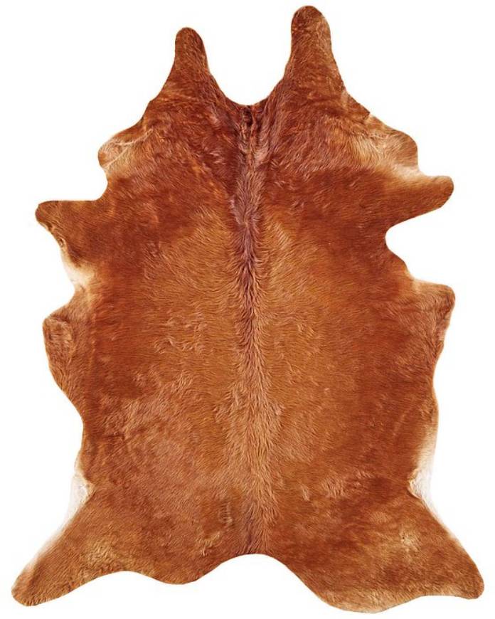 Picture of COWHD MEDIUM BROWN