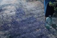 Picture of 69E7F BLUE/GRAY