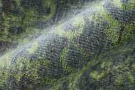 Picture of 7199F JADE