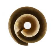 Picture of ARDEN WALL SCONCE/CEILING MOUNT