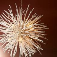 Picture of FINCH CHANDELIER