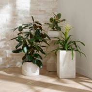 Picture of CALLIE PLANTERS, SET OF 3