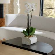 Picture of CALLIE PLANTERS, SET OF 3