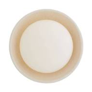 Picture of GLAZE SMALL WALL SCONCE