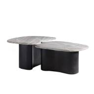 Picture of MELT COFFEE TABLES, SET OF 2