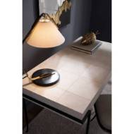 Picture of MOSQUITO DESK