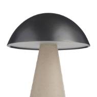 Picture of STRUZZO RECHARGEABLE ACCENT LAMP