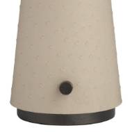 Picture of STRUZZO ACCENT LAMP