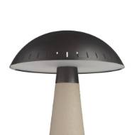 Picture of STRUZZO ACCENT LAMP