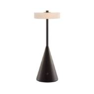 Picture of EOS RECHARGEABLE ACCENT LAMP