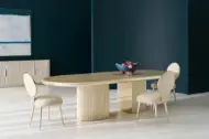 Picture of APOLLO DINING CHAIR