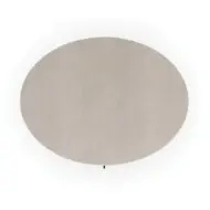 Picture of WANDERING