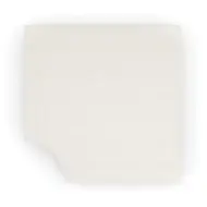 Picture of BUTTONED UP